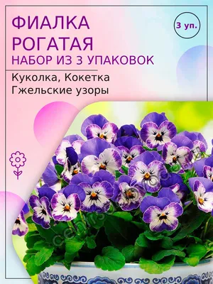 Фиалка-5, подставка для цветов на 12 чаш (ID#440649543), цена:  ₴,  купить на 