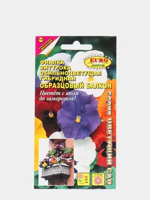 Фиалка "Образцовый балкон" семена цветов купить по цене 53.1 ₽ в  интернет-магазине KazanExpress