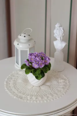 самые красивые комнатные цветы фиалки глоксиния колерия - YouTube