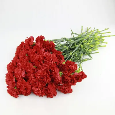 Букет из персиковых гвоздик - заказать доставку цветов в Москве от Leto  Flowers