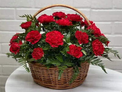 Ритуальная корзина из живых цветов 24 красных гвоздик и папоротника от 4  800 руб - купить по выгодной цене в Москве
