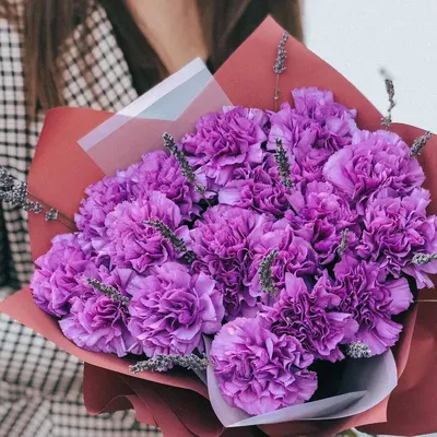 Красивые цветы гвоздики в вазе на светлом фоне :: Стоковая фотография ::  Pixel-Shot Studio