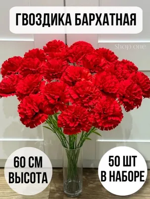 Купить Бархатные гвоздики 50 штук / Искусственные цветы гвоздики shop one  по выгодной цене в интернет-магазине  (1179963075)