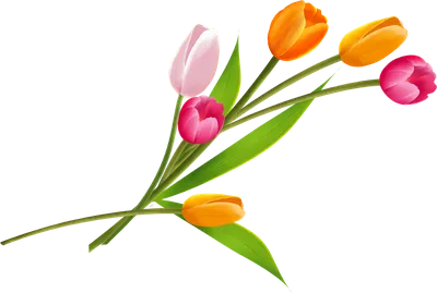 Цветы на 8 Марта: Как выбрать букет и сохранить его свежесть - 