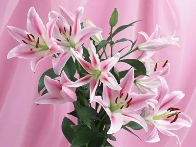 Купить Цветы лилии, набор 4 шт, диам 5 см оптом со склада в  Санкт-Петербурге в компании Айрис