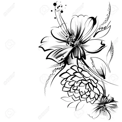 нарисованные цветы карандашом - Поиск в Google | Flower drawing, Pencil  drawings of flowers, Flower line drawings