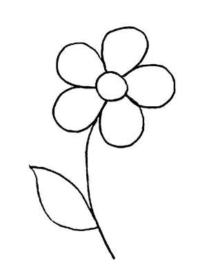 Картинки цветов - рисунки для срисовки карандашом (77 фото)