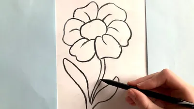 Цветы карандашом для срисовки - 60 фото
