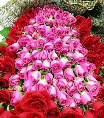 Заказать Красно-розовый букет цветов с перьями с доставкой в Москве