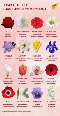 Купить Букет цветов Нежный взгляд в городе Санкт-Петербург
