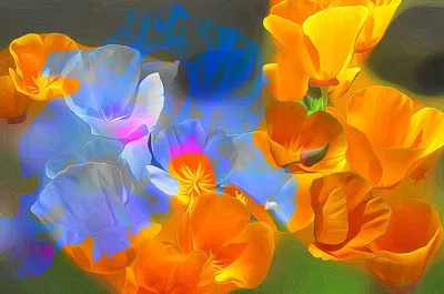 Голубой цветок Абстракция Цветы Букет Живопись по номерам 19949713 купить  за 720 ₽ в интернет-магазине Wildberries