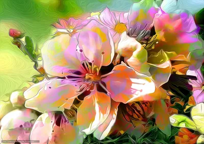 Картины: Полевые цветы Цветы в абстракции в интернет-магазине Ярмарка  Мастеров по цене 4300 ₽ – QPTSYBY | Картины, Бердск - доставка по России