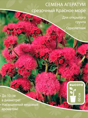 Цветы Агератум Бонжур Смесь ЦВ/П (ГАВРИШ) 0,05гр однолетник 20-25см