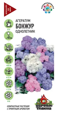 Рассада цветов Агератум кассета 6 ячеек - купить в Сланцах, отзывы. ТД  «Вимос»