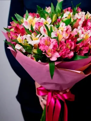 Альстромерия микс 3 в Барановичах - Купить с доставкой от 7 руб. |  Интернет-магазин «Люблю цветы»