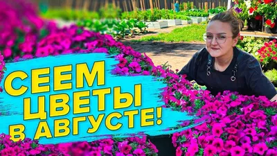 Выставка «Лилии и цветы августа» 2021