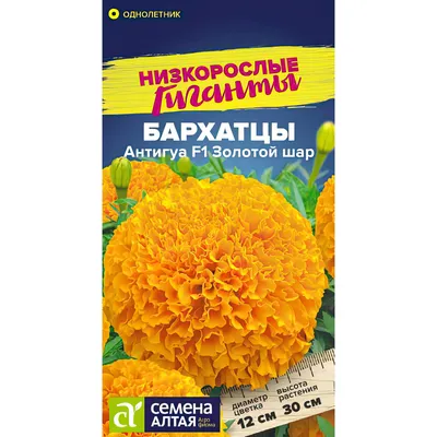 Цветы Бархатцы Лимонная капля (0,3г) - купить по выгодным ценам в Москве и  с доставкой по России