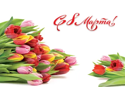Букет 8 марта» с гипсофилами и тюльпанами - купить в Новом Уренгое за 4 630  руб