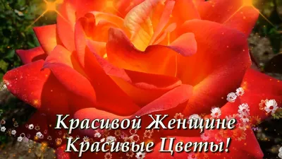 🌹🌹🌹Красивой Женщине🌹 Красивые Цветы!🌹🌹🌹 - YouTube