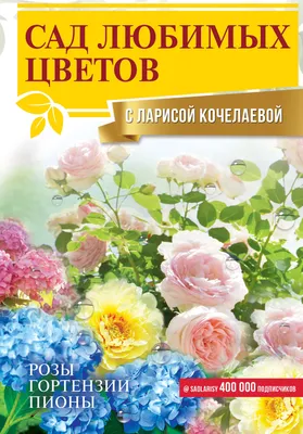 21- года "Цветы из зефира" - 2 программа ⠀⠀⠀⠀⠀⠀⠀⠀⠀ Ведущая:  Лазарева Лариса @lazareva260369 Сертифицированный инструктор… | Instagram