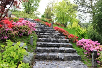 Показываем цветущий Японский сад в парке «Краснодар»