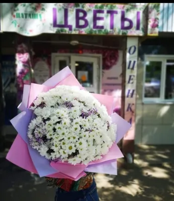 Наташа Новомодная - Гортензии прекрасны🥰#цветы #цветыхабаровск #цветыэдема  #эдемкалинина | Facebook