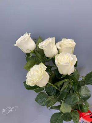 Картины: Эти цветы для тебя! в интернет-магазине Ярмарка Мастеров по цене  850 ₽ – LJKDGRU | Картины, Москва - доставка по России
