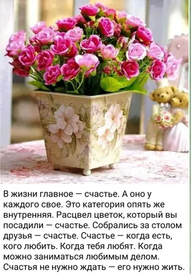 Пин от пользователя Бекбосынова Т.Б. на доске Цветы в 2023 г | Счастливые  картинки, Милые цитаты, Картинки