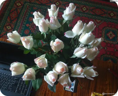 Искусственные цветы Aliexpress Fresh rose Artificial Flowers Real Touch,  Home decorations for Wedding Party or Birthday - «"Не понял, кто это тебе  розы подарил?" - приревновал меня любимый, когда я вошла, держа