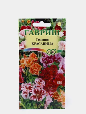 Годеция Красавица (семена,цветы) купить по цене 59 ₽ в интернет-магазине  KazanExpress