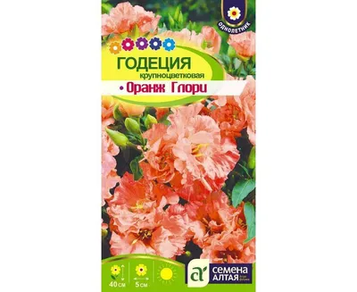 Семена РУССКИЙ ОГОРОД Цветы Годеция Оранж Глори СР  г 702598 - выгодная  цена, отзывы, характеристики, фото - купить в Москве и РФ