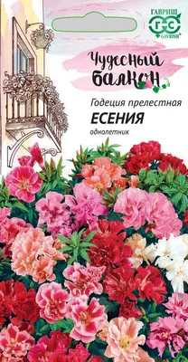 Цветы Годеция Азалея (0,3г) - купить по выгодным ценам в Москве и с  доставкой по России