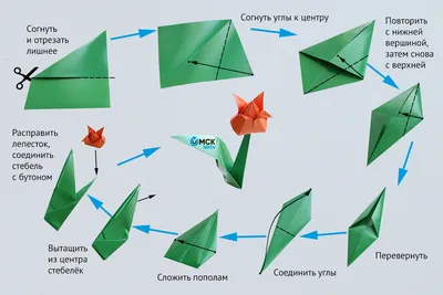 Как сделать цветы из бумаги своими руками - Общество