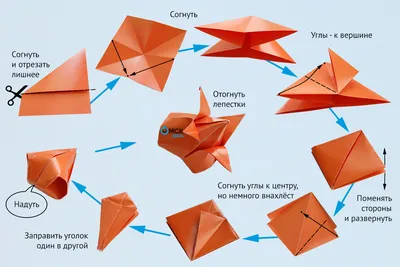 Как сделать цветы из бумаги своими руками - Общество