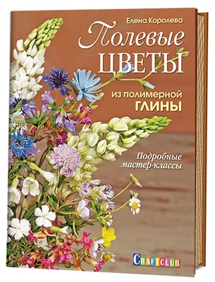 Полевые цветы из полимерной глины. Подробные мастер-классы - купить с  доставкой по выгодным ценам в интернет-магазине OZON (139359724)