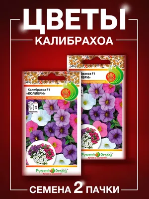 Калибрахоа Can-Can Rosies Pink Vein Розовый махровый (кашпо) 890 руб.  AGRO48120