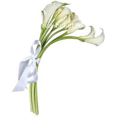 Букет из белых калл - заказать доставку цветов в Москве от Leto Flowers