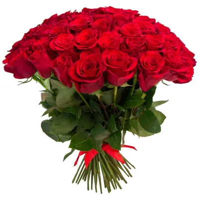 Букет 35 красных роз купить за 7 350 руб. с круглосуточной доставкой по  Москве | Мосцветторгком