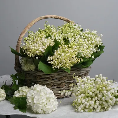 Ландыши Dakota flora | Купить ландыши в Москве | Интернет-магазин цветов  