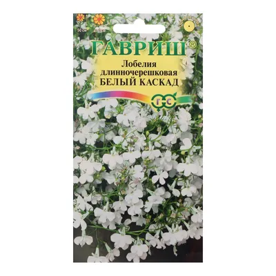 Семена цветов Лобелия ампельная "Белый каскад", 0,01 г (7613759) - Купить  по цене от  руб. | Интернет магазин 