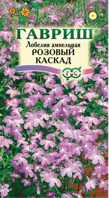 Лобелия многолетняя красная (огненная), горшок 0,5 л. (ID#1054696695),  цена: 75 ₴, купить на 