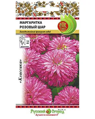 картинки : поле, цветок, лепесток, букет, Трава, цветы, Маргаритки, многие,  Белые, цветущее растение, Маргаритка, Маргаринка, Однолетнее растение,  Наземный завод, Chamaemelum Nobile, Маргаритная маргаритка, Танацетумпатия,  Хризантемы 4272x2848 ...