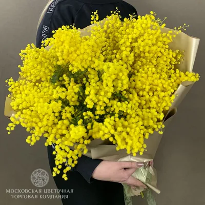 Букет из мимозы и гиацинтов - заказать доставку цветов в Москве от Leto  Flowers