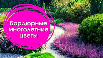 Многолетние цветы в дизайне сада, , Фитон+ купить книгу 978-5-93457-145-1 –  Лавка Бабуин, Киев, Украина