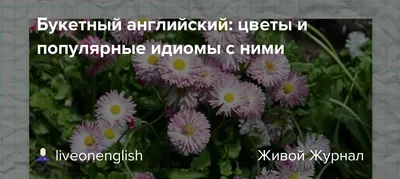 Ткань портьерная с рисунком - Цветы - стиль Английский - Купить в  Интернет-магазине