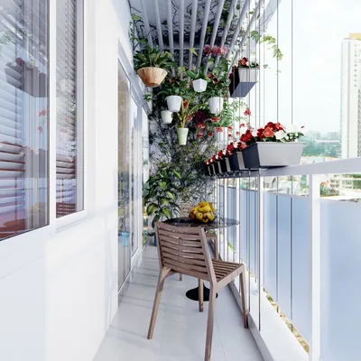 Какие цветы выращивают на балконе – самые красивые растения