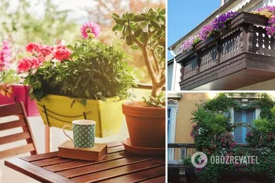 Любимое место в доме: как создать летний сад на балконе - ,  Sputnik Беларусь