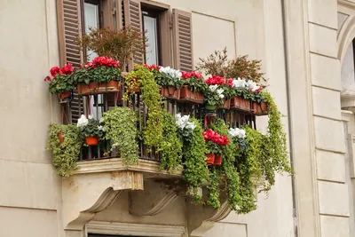 Житель Семея скончался, поливая цветы на балконе