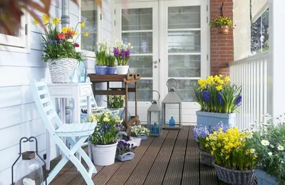 Озеленяем городские балконы вместе с ЦИОНом для цветов 🌱 ZION