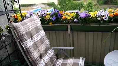 Выбираем цветы для балкона - На пенсии